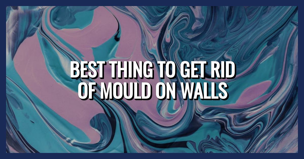 Remove Mould from Walls